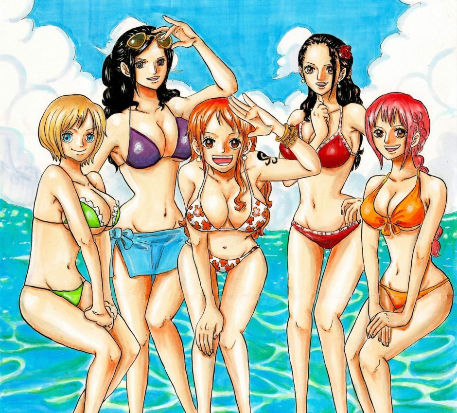 Van Pis Nami X Luffy