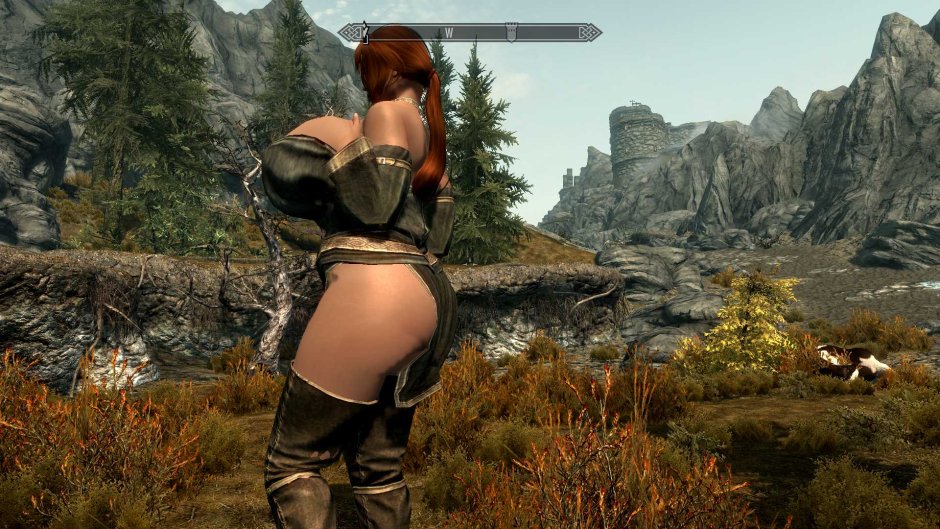Skyrim Legendary Edition SexLab
