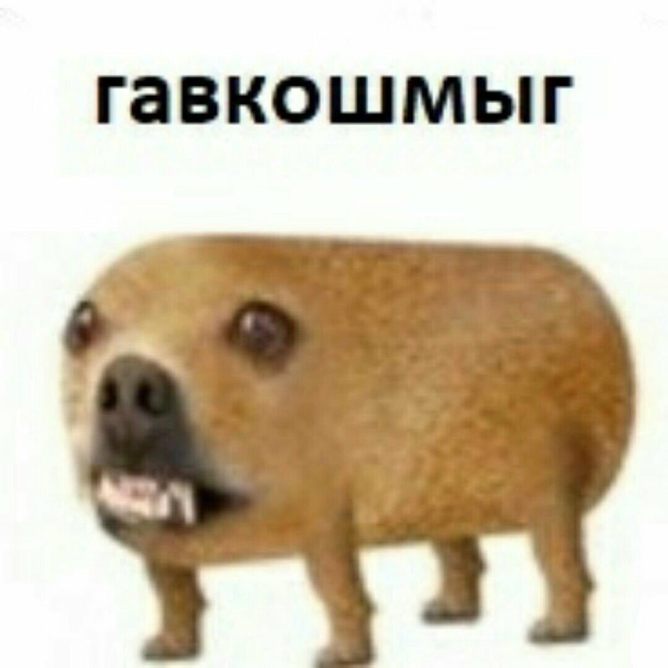 Meme Pepe and Bomzh