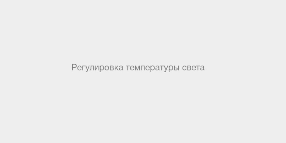 Pedophile groups of VK