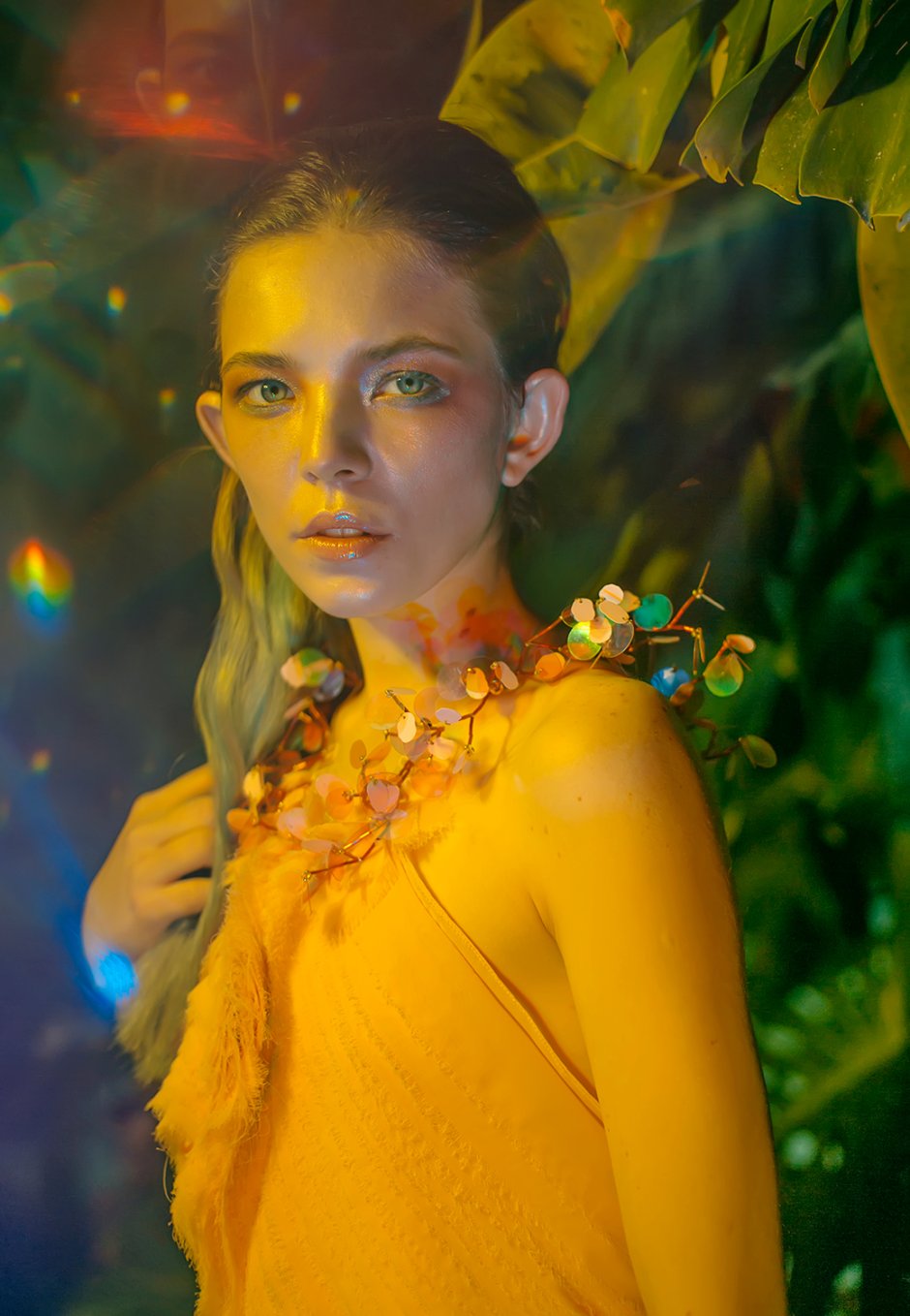 Paradise Birds Paradise Anna Nelly