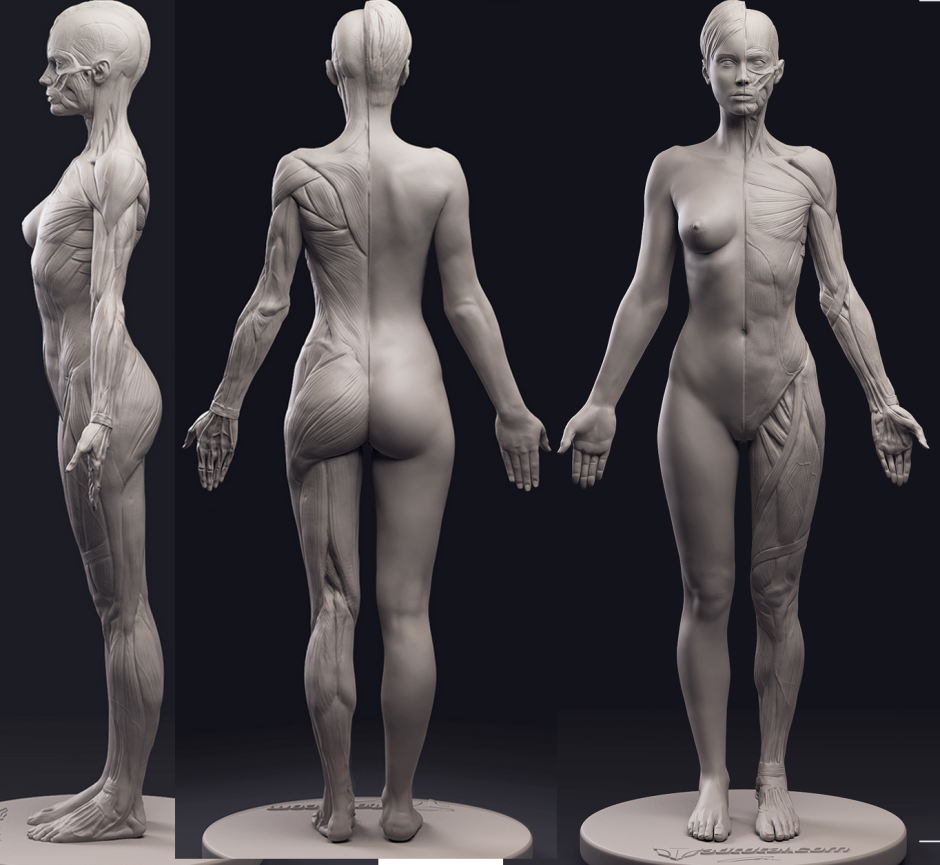 Naked posing in the studio