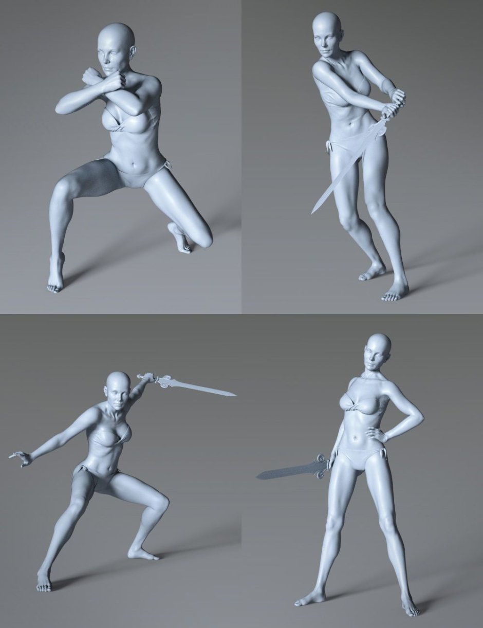 Anatomy of the female body