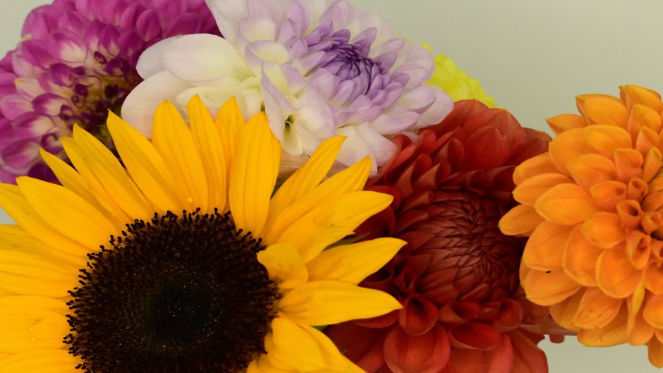 Postcard City Flowers 1280 CV