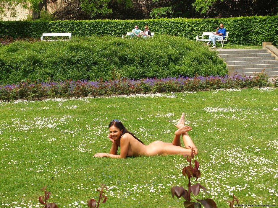 Fucking in parks on the lawn