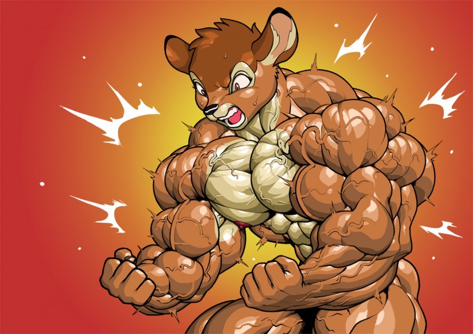 Pokkuti Muscle