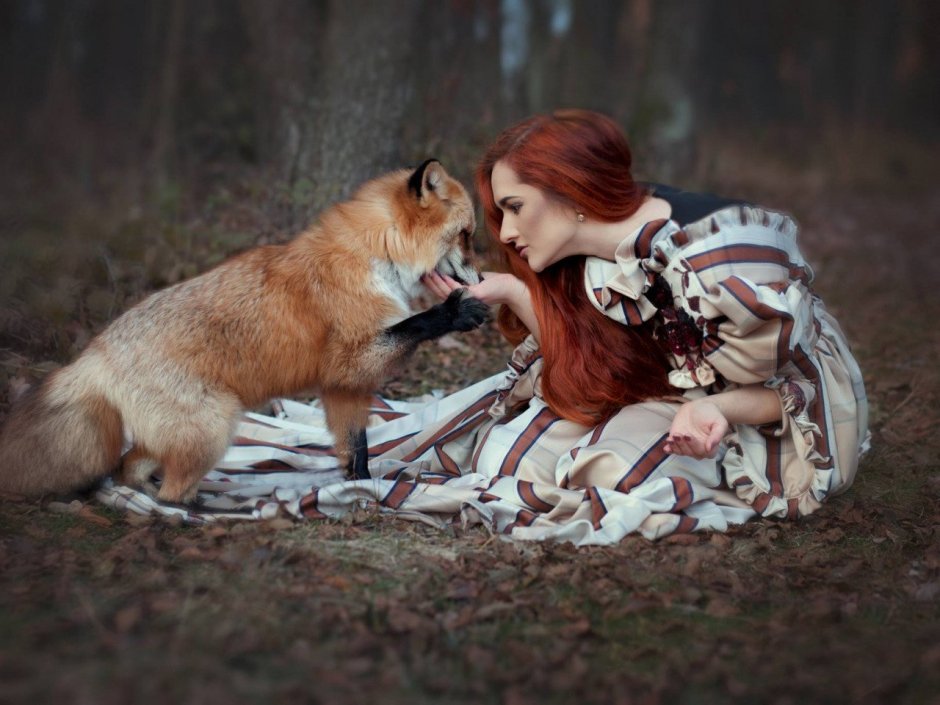 Alice fox red beauty