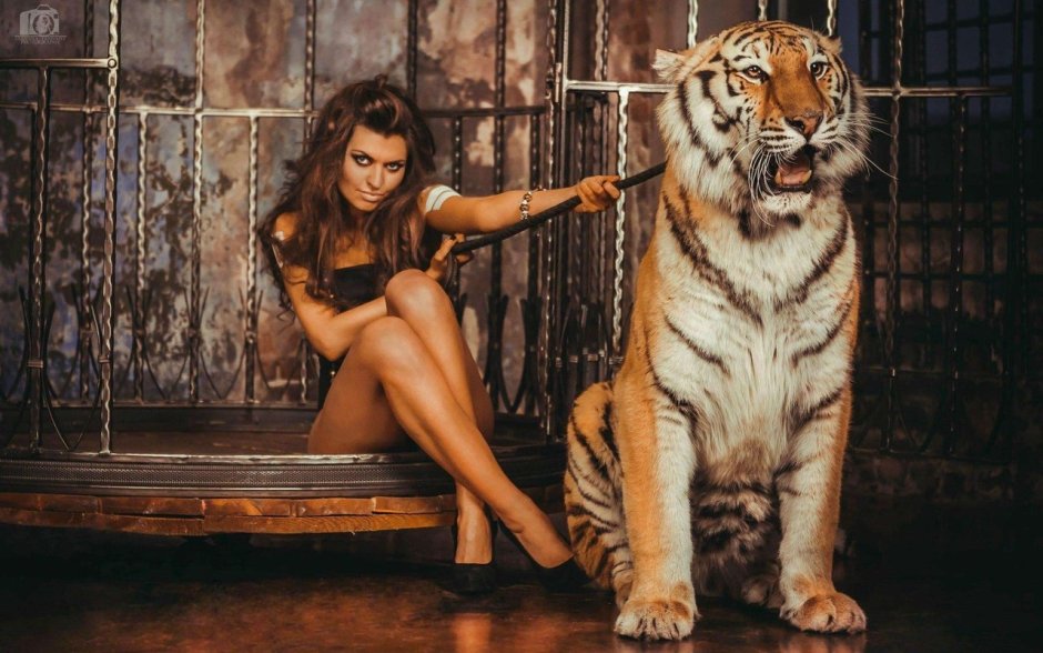 Tiger (Marvel Comics)