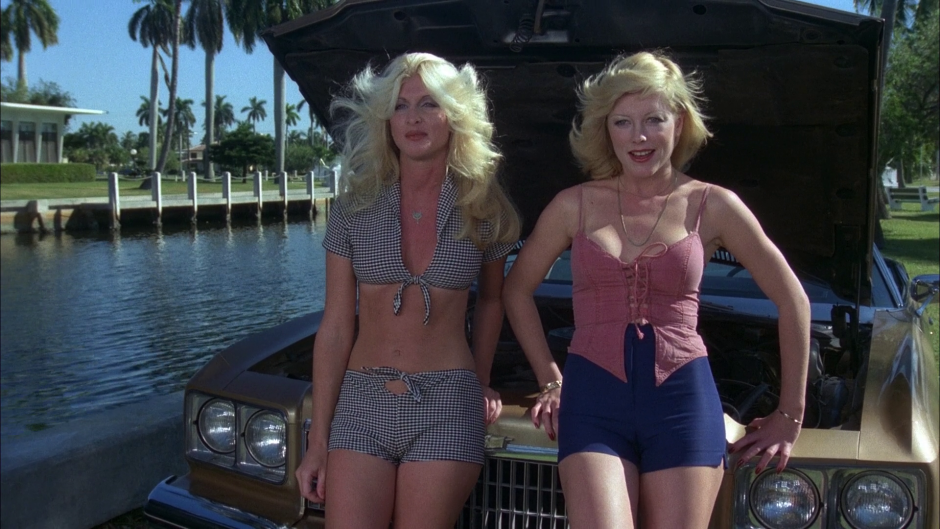Adrienne Barbeau Cannonball Run