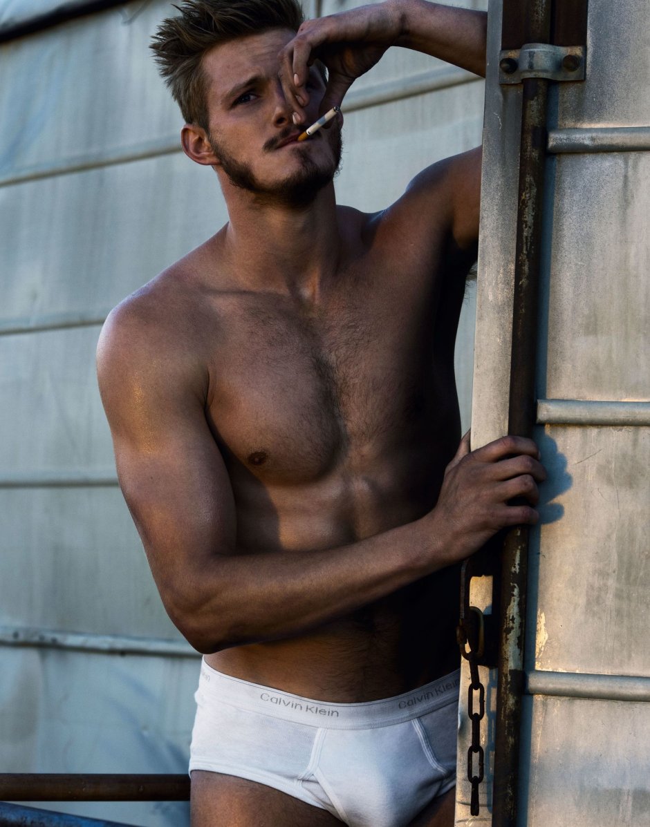 Alexander Ludwig Torsos