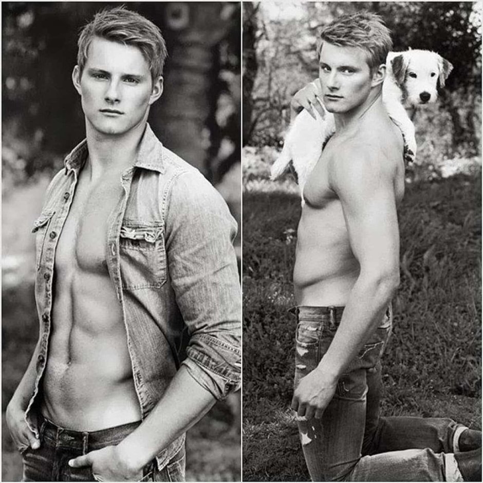 Alexander Ludwig Torsos