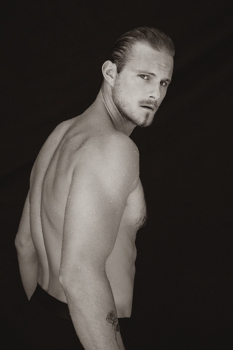 Alexander Ludwig Torsos