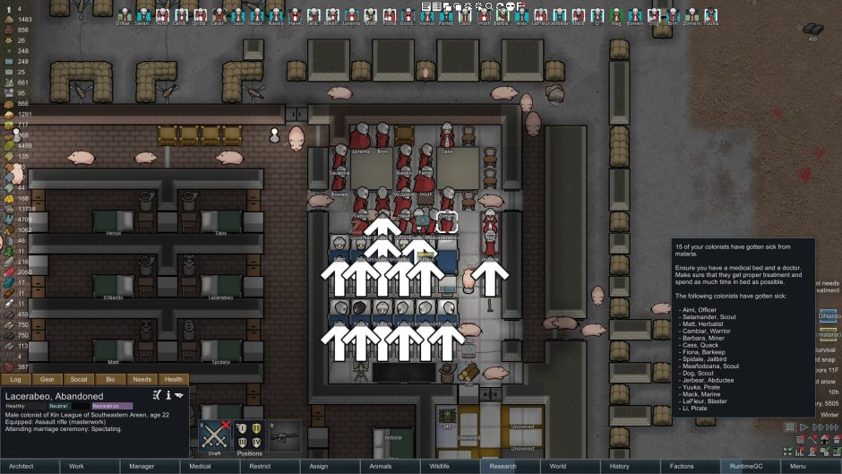 Rimworld Hayd