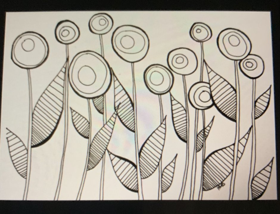 Coloring aesthetics