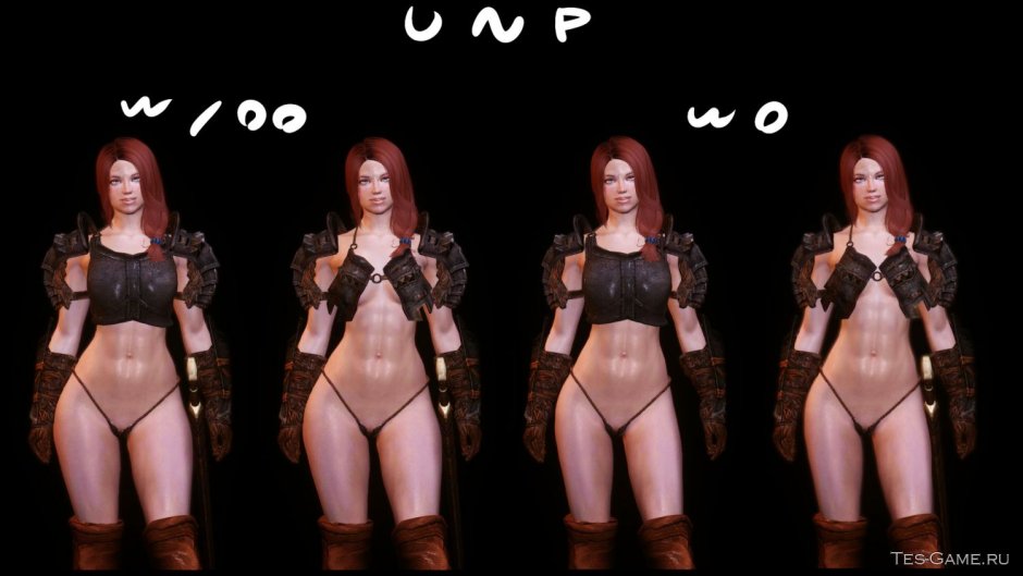 Skyrim se armored
