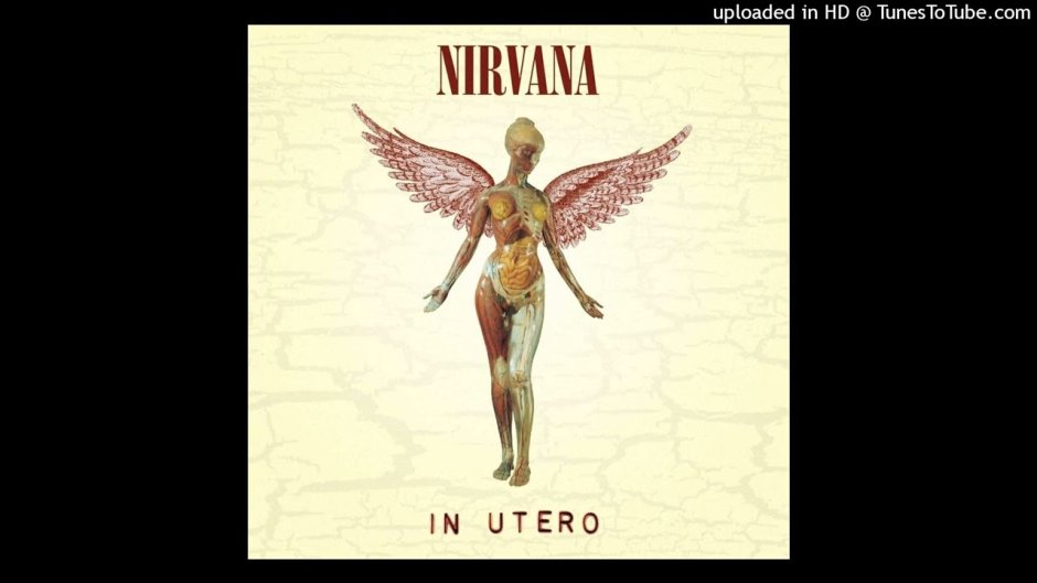 Nirvana Smells Like Teen Spirit Hitarian Chords