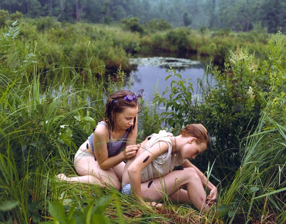 Early maturity film 1973