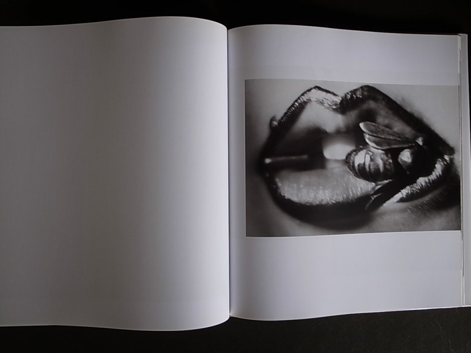 Will McBride: Coming of Age 1999 First Edition