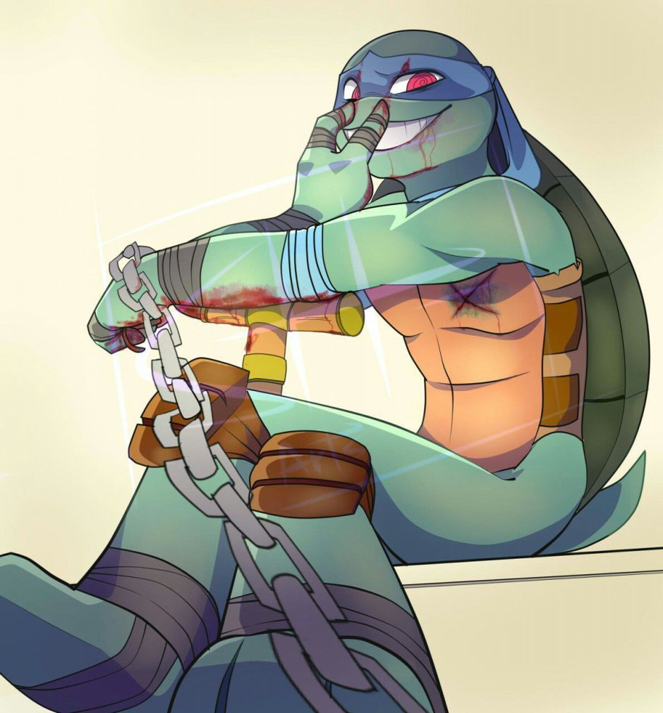 Choppi ninja turtles