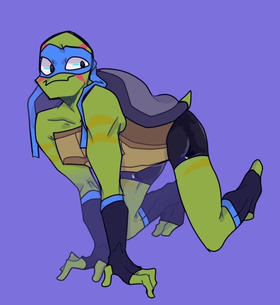 Ninja turtles Rafael and April