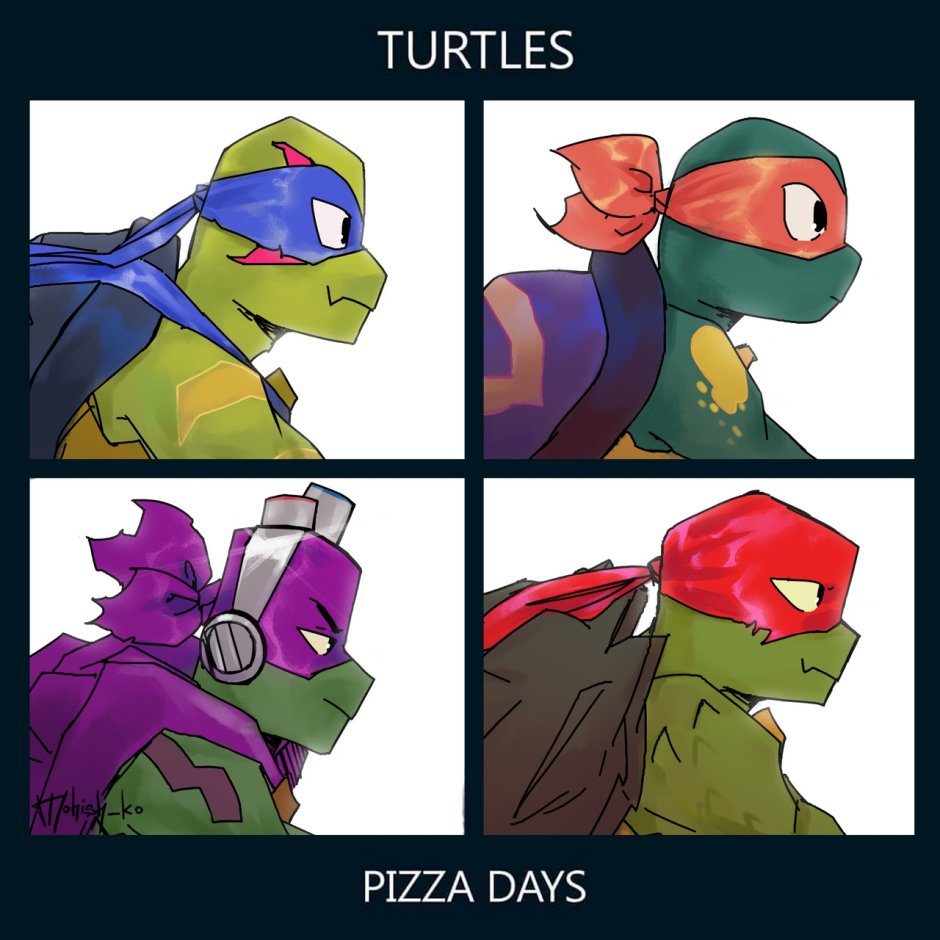 Donnie the evolution of turtles