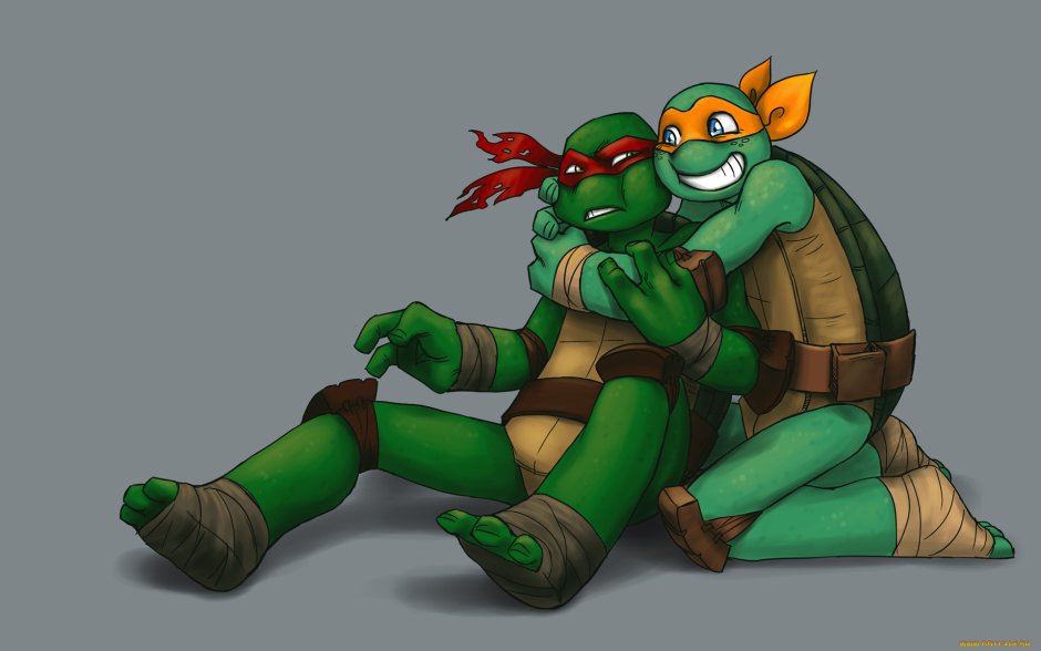Ninja turtles 2012 Leo and Raf