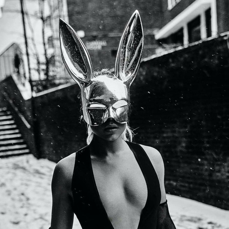 Rabbit Mask Lynch David