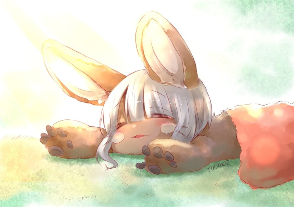 Nanachi