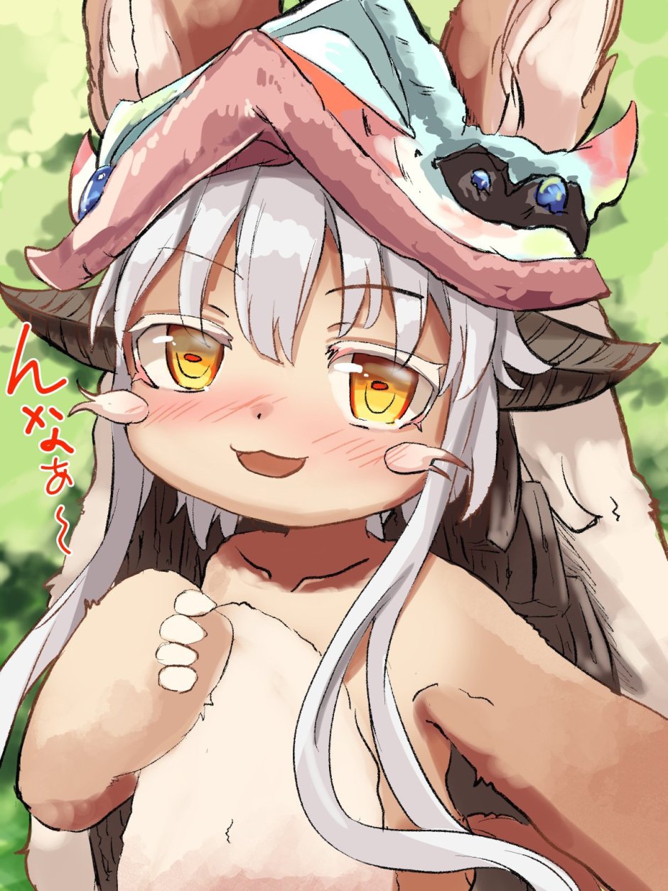 What is nanachi