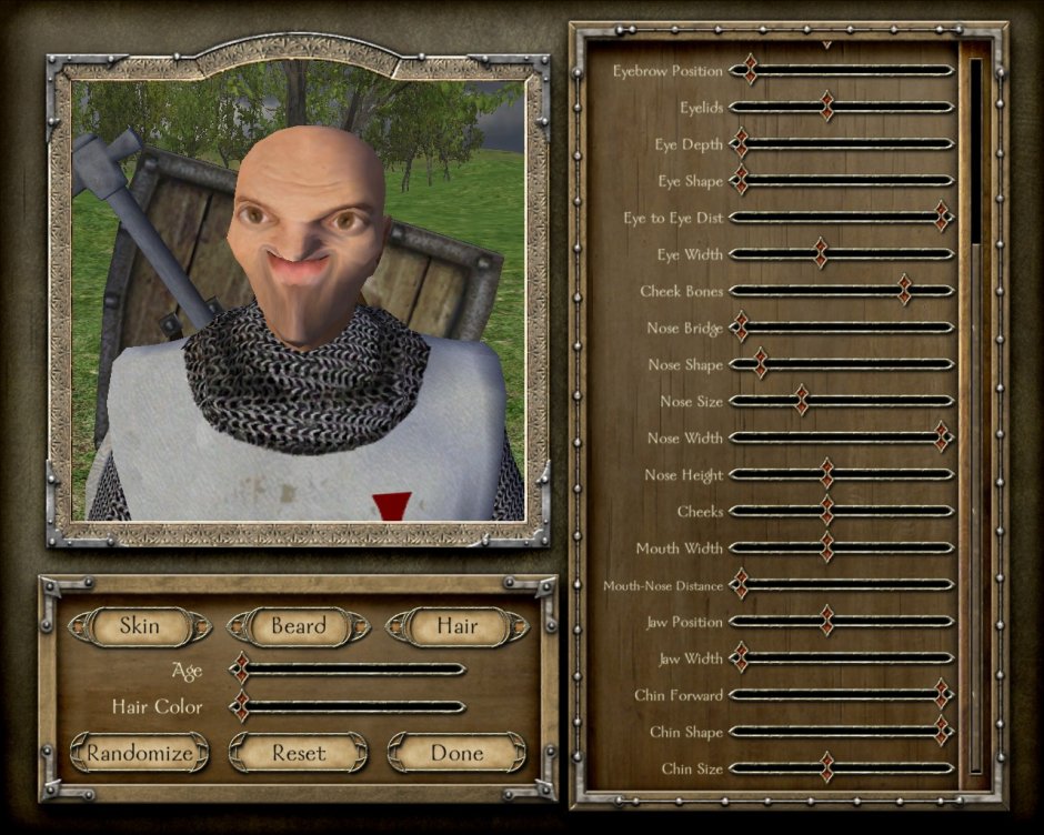 Mount and Blade Face