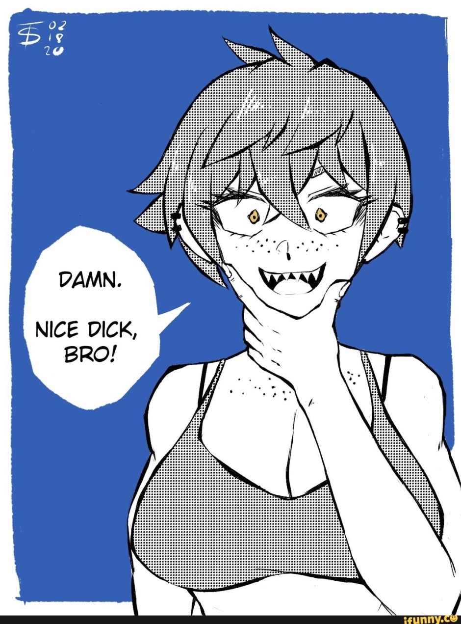 NIS Dick Bron
