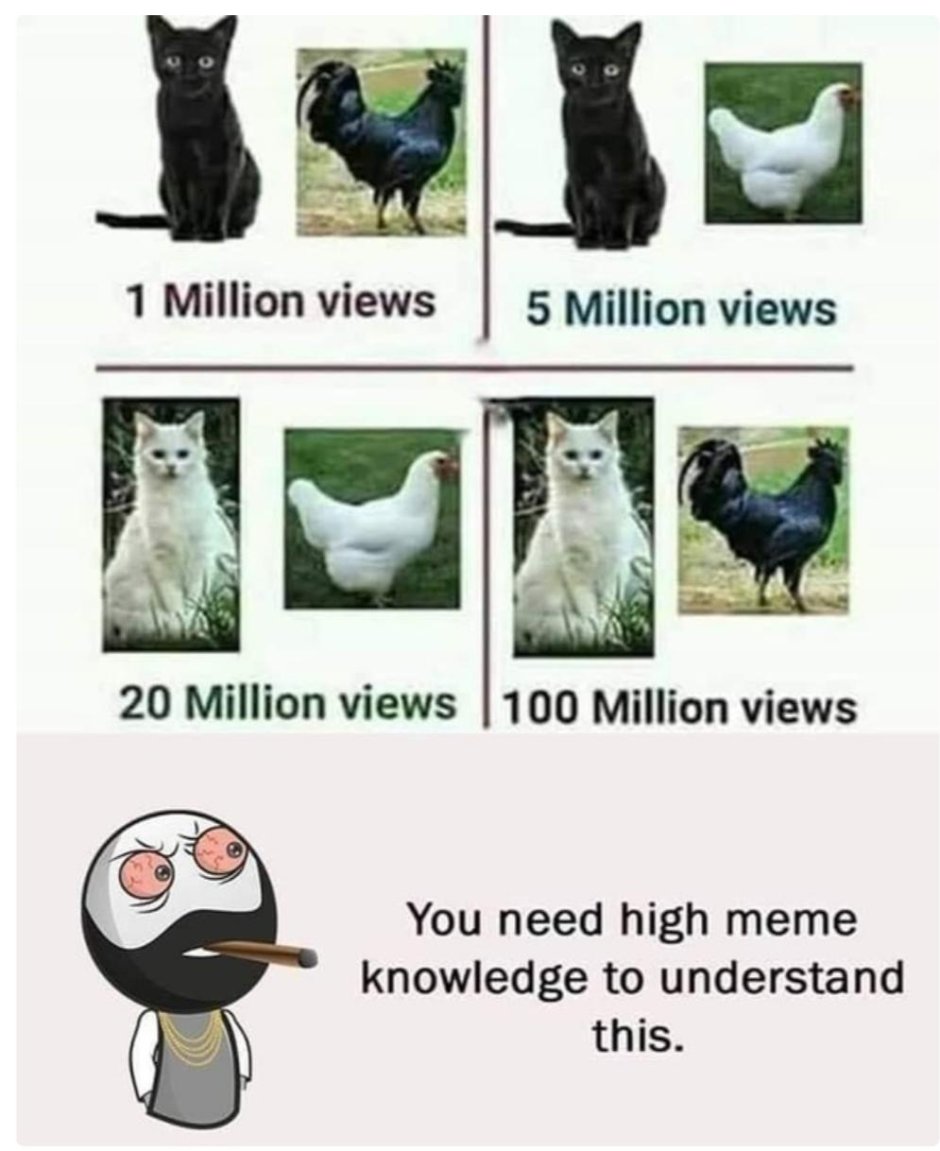 Hai memeem