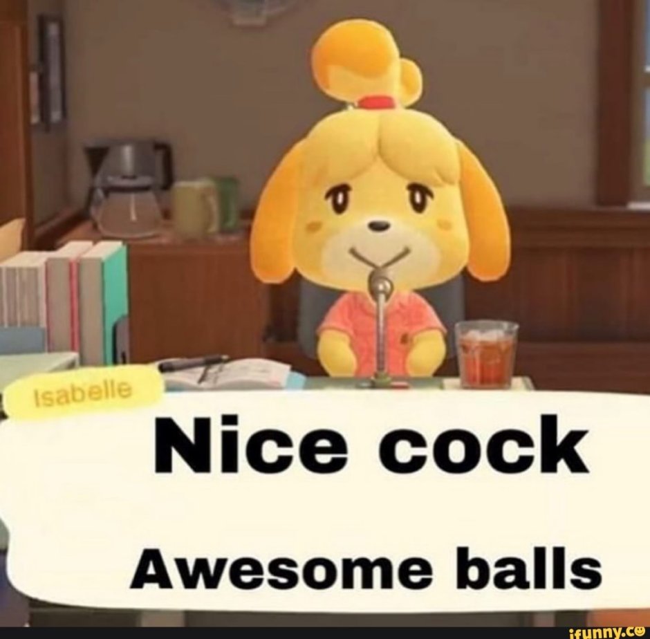 NIS Dick Aves Bals