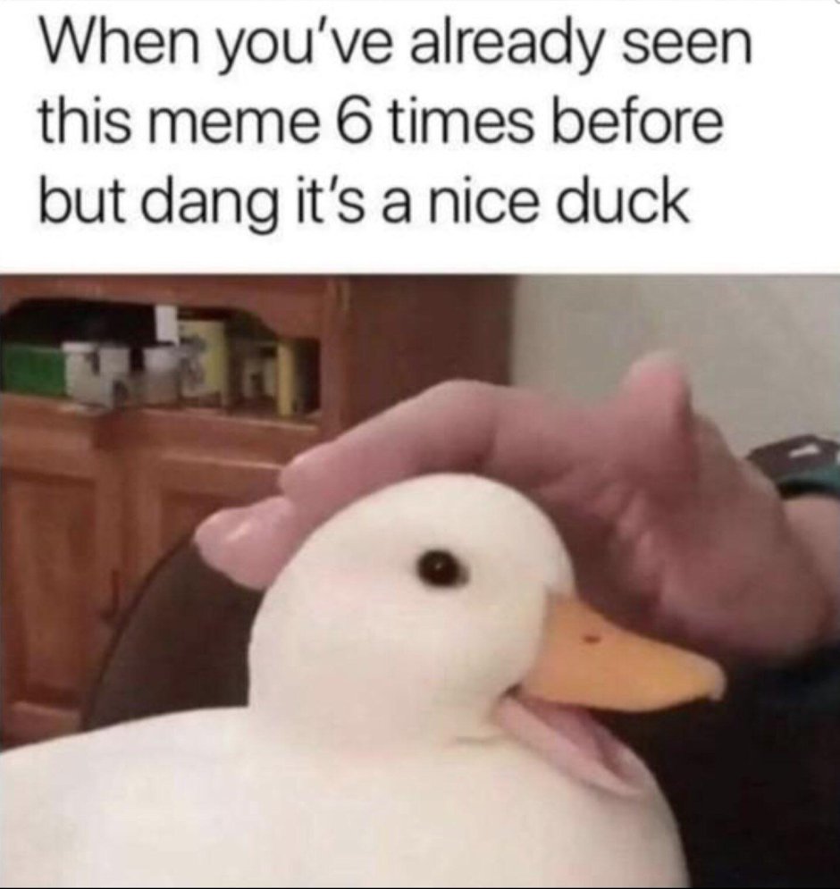 Is it for me meme