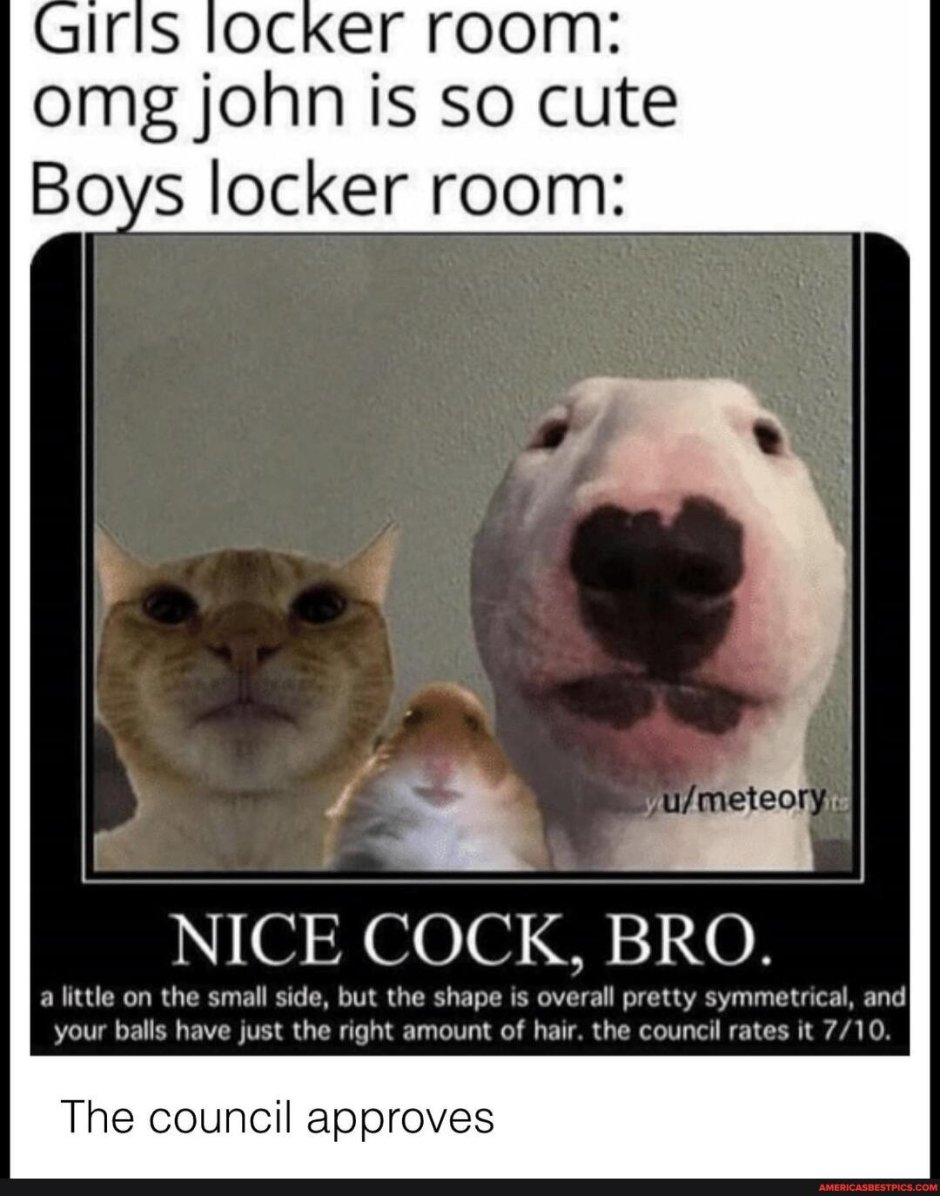 Hay Bron Nis Dick
