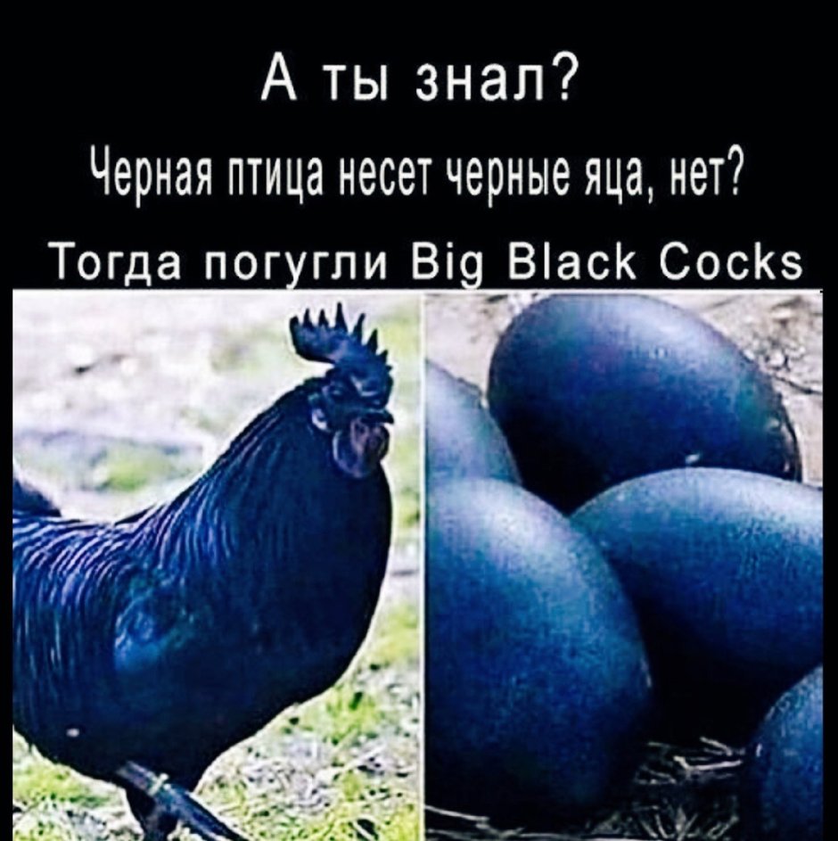 Thank you i have more meme