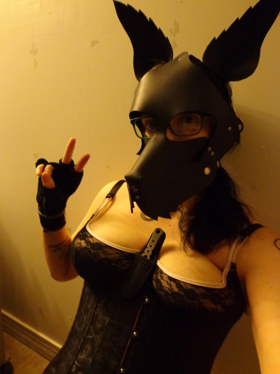 PetPlay