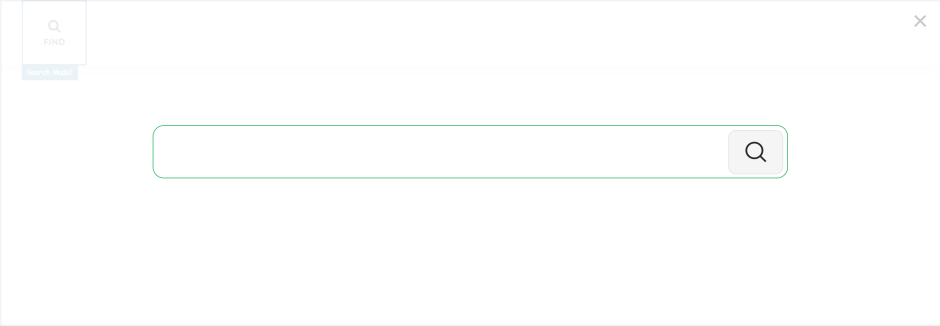 Summary of the developer