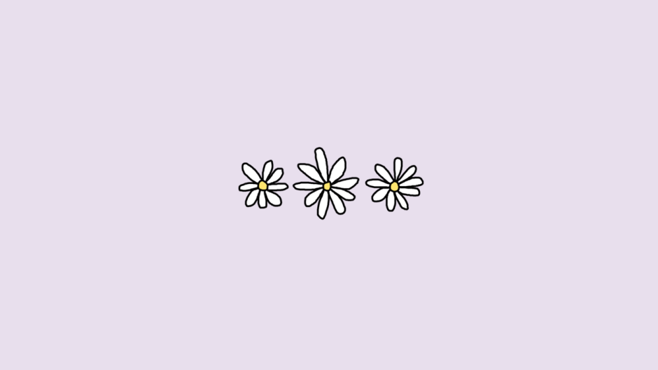 Chamomile minimalism