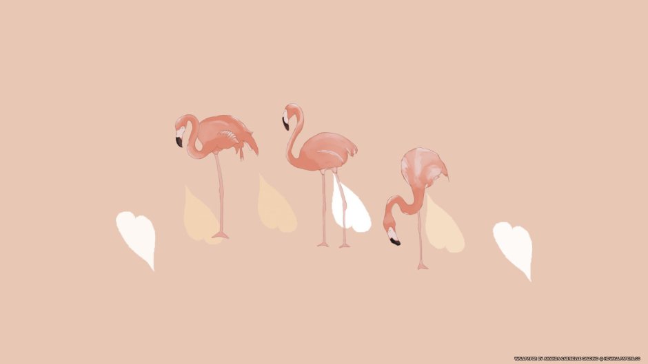 Wallpaper on the desktop