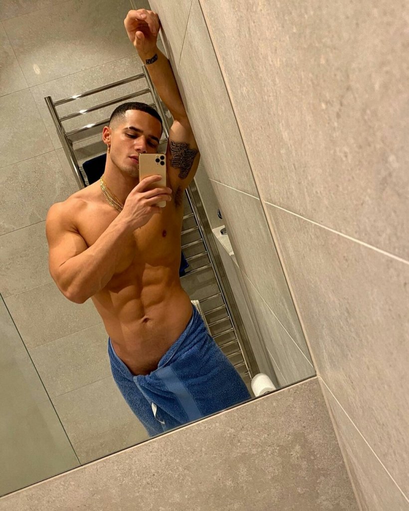 Dima Gornovsky model