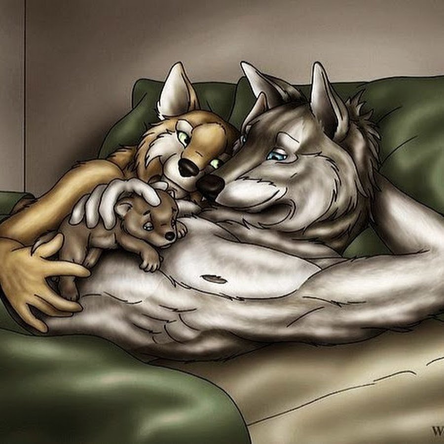 Mr wolf and diane