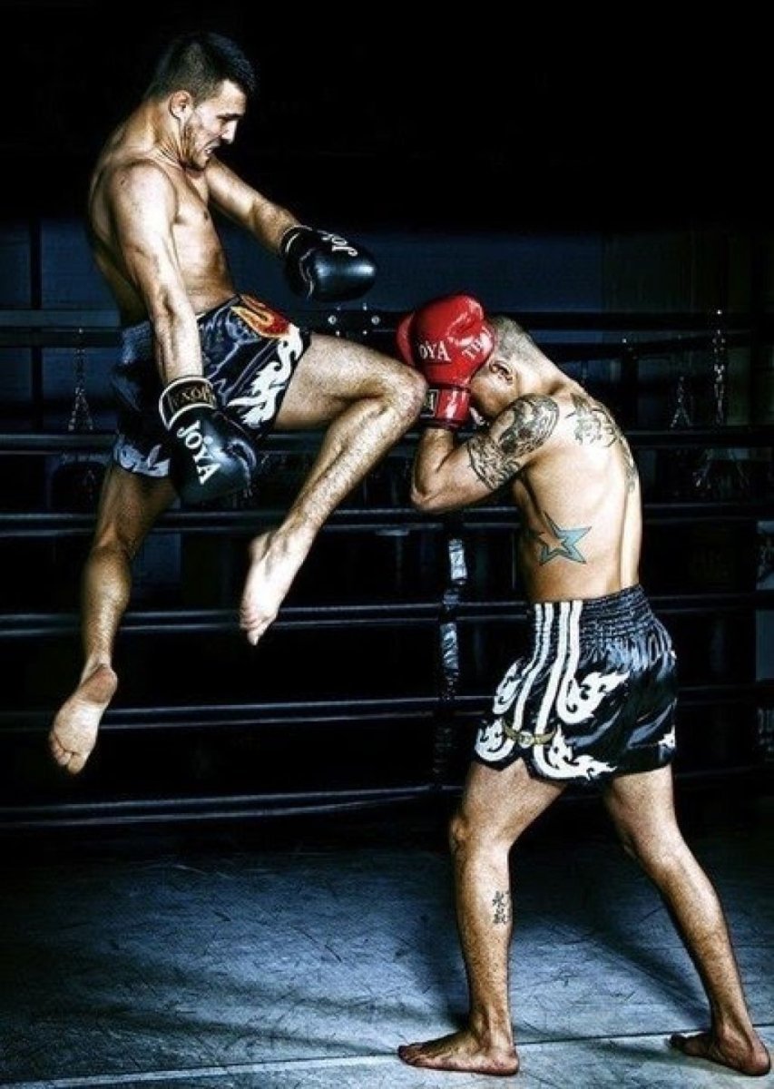 Anime boxing