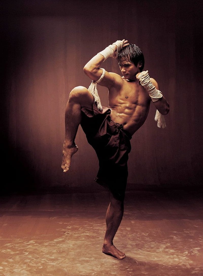 Thai box knee