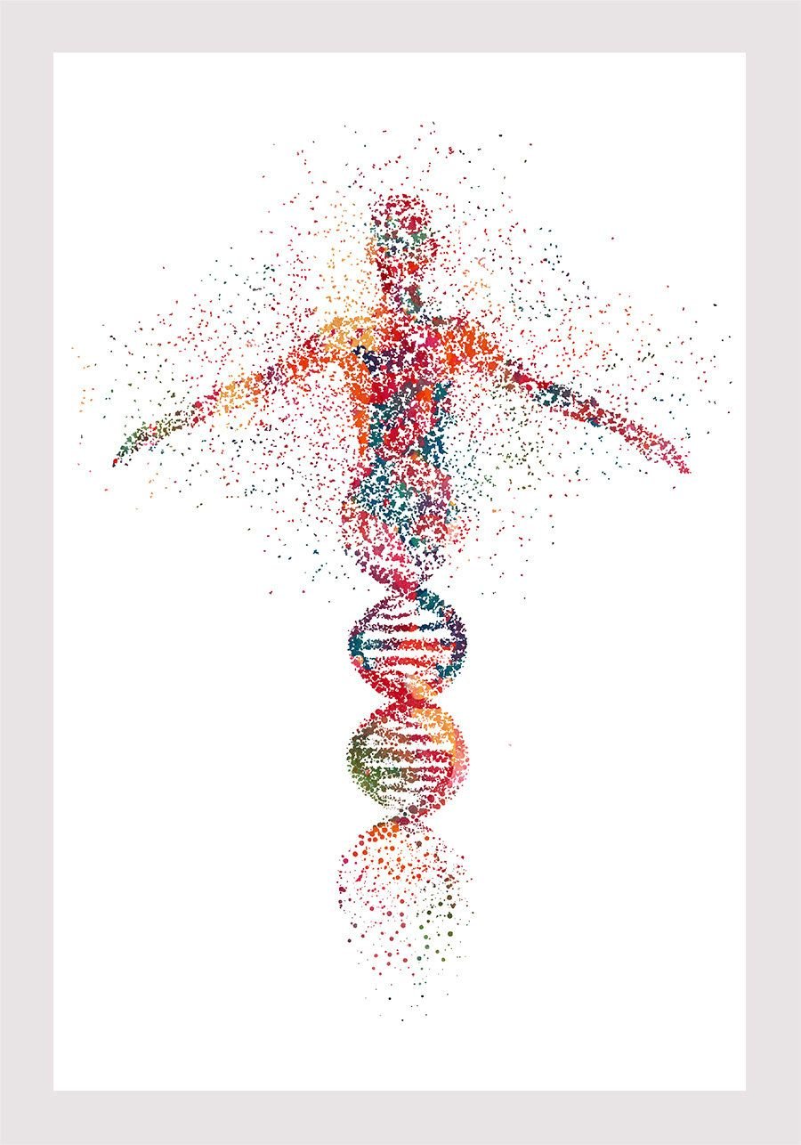 Human DNA