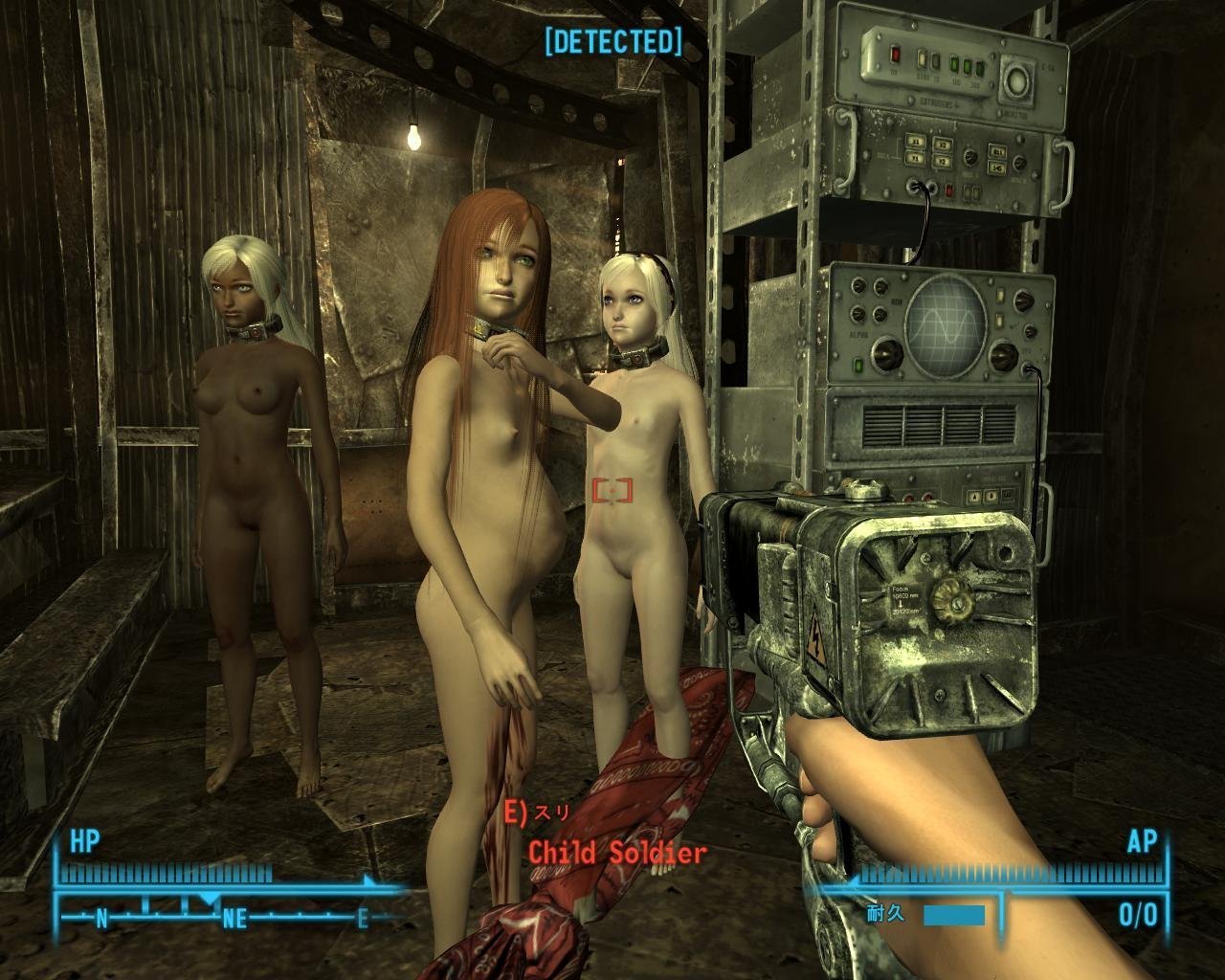 Fallout 3 Female Detailed Nude Skins