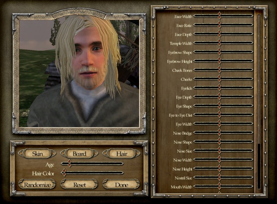 Mount and Blade Face