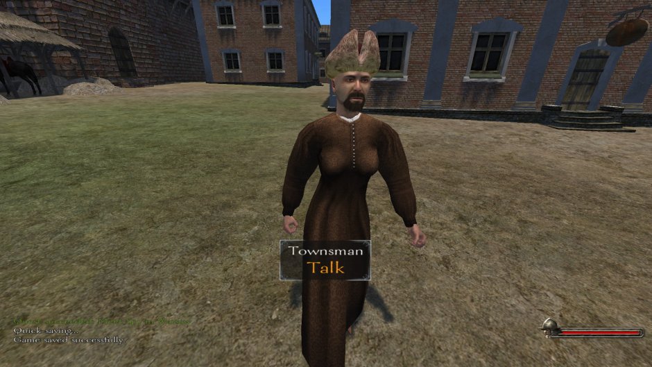 Rotten chicken Mount and Blade