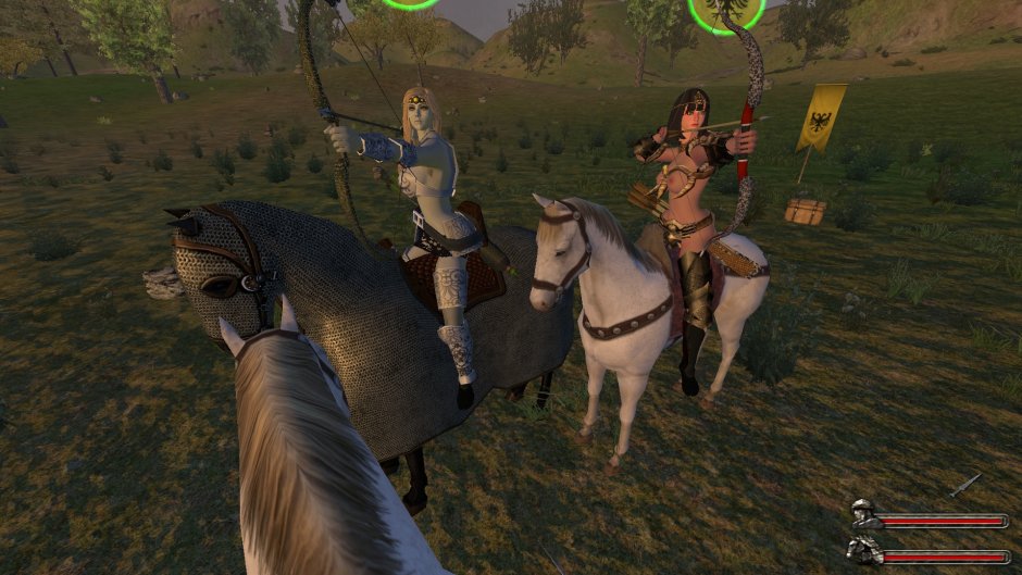 Mount and Blade Dickplomacy