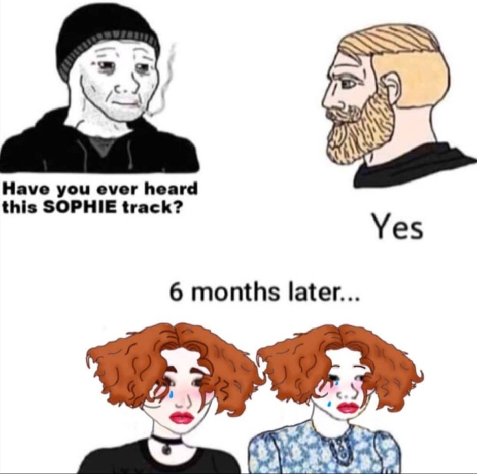 Sophie meme